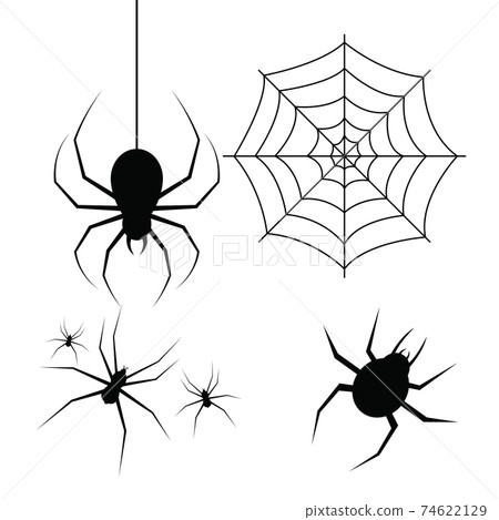 Spider vector design illustration isolated on white background 74622129