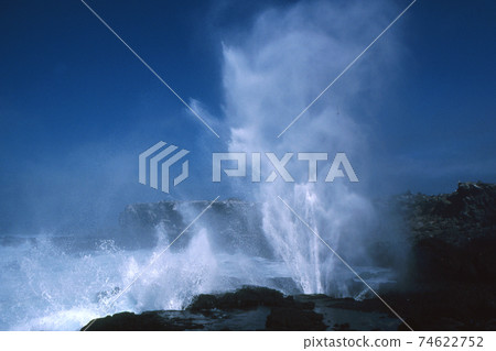 Galapagos landscape 74622752