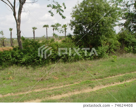 在高速公路旁邊·哈拉（曼德勒 - 蒲甘/緬甸） 74624408