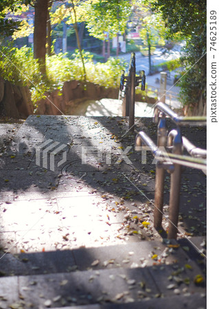 穿過樹的陽光照亮的樓梯 74625189