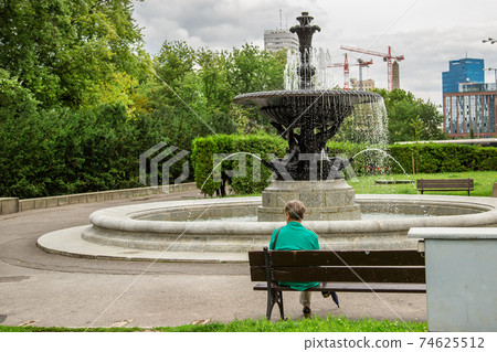 historic fountain in Saski park 74625512