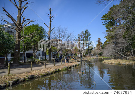 A quiet residential area and park in Denenchofu, Horai Park, Ota-ku, Tokyo A quiet residential area and park in Denenchofu, Horai Park, Ota-ku, Tokyo 74627954