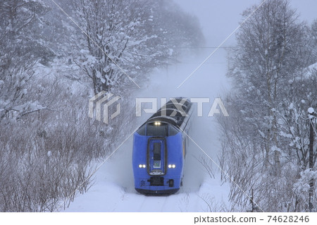 JR北海道_基哈261系列有軌電車特急大豆_ 2020/12/31拍下 74628246