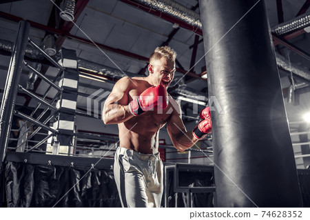 Boxer training on a punching bag in the gym 74628352