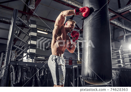 Boxer training on a punching bag in the gym Boxer training on a punching bag in the gym 74628363