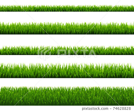 Green Grass Set Isolated White Background - Stock Illustration ...