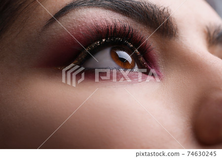 Woman's face with professional eye makeup closeup Woman's face with professional eye makeup closeup 74630245