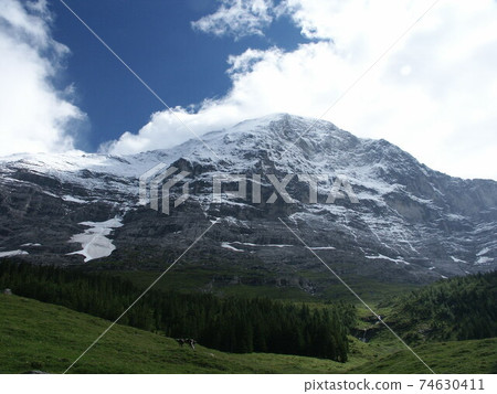 瑞士格林德瓦 74630411