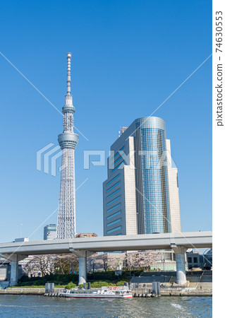 從S田川梯田眺望的“東京”東京晴空塔 從S田川梯田眺望的“東京”東京晴空塔 74630553