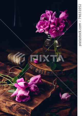 Pink garden roses 74631052