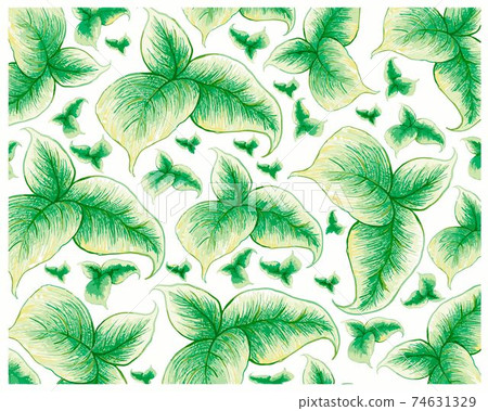 Illustration of Fresh Green Leaves on White Background 74631329