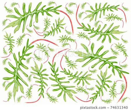 Illustration of Fresh Philodendron Xanadu Plants Background 74631340