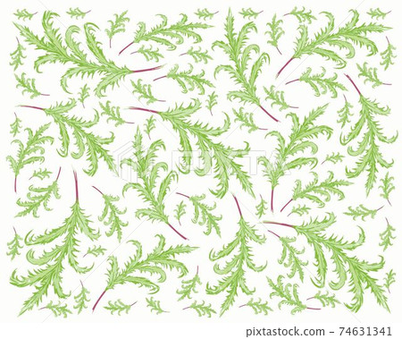Phlebodium Aureum or Golden Serpent Fern Leaves Background 74631341