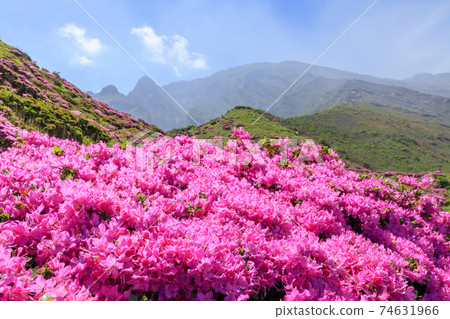 Miyama Kirishima and Aso Nakadake Sensuikyo, Aso City, Kumamoto Prefecture 74631966