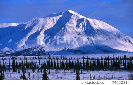 迪納利 迪納利 74632814