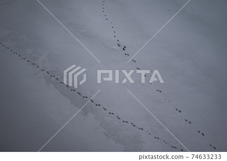 Footprints on the snow [Lake Nakatsuna in winter] 74633233