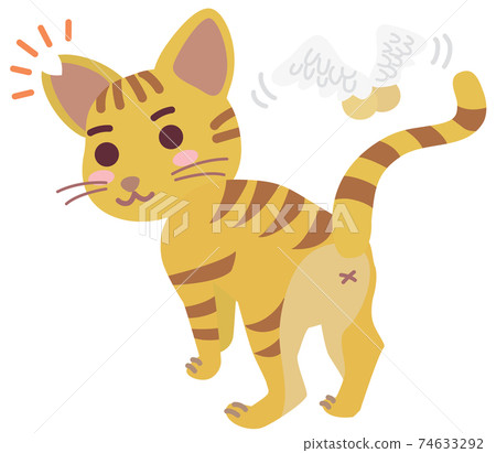 Local cat boy with castration surgery and ear cut Local cat boy with castration surgery and ear cut 74633292