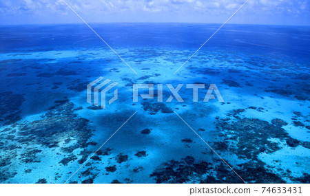 Great Barrier Reef  74633431