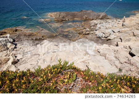 Natural backgrounds from Corsica island in France Natural backgrounds from Corsica island in France 74634265