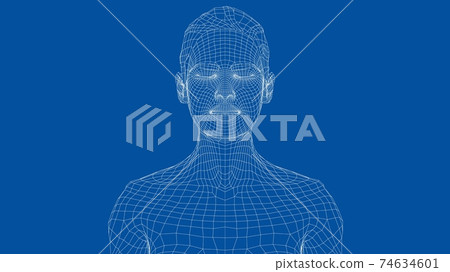 Wireframe portrait of a young beautiful girl Wireframe portrait of a young beautiful girl 74634601