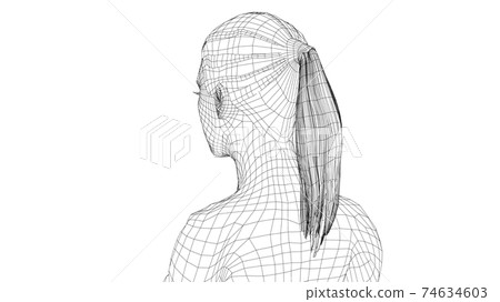 Wireframe portrait of a young beautiful girl Wireframe portrait of a young beautiful girl 74634603