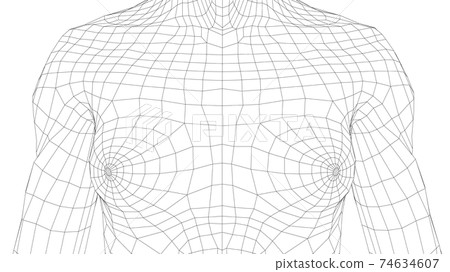 Drawing Women Breast Close Up