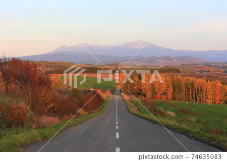 Fascinated by the autumn leaves of Hokkaido 74635083