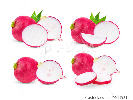 fresh radish on white background fresh radish on white background 74635213