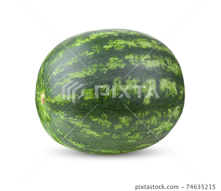 watermelon on white background watermelon on white background 74635215