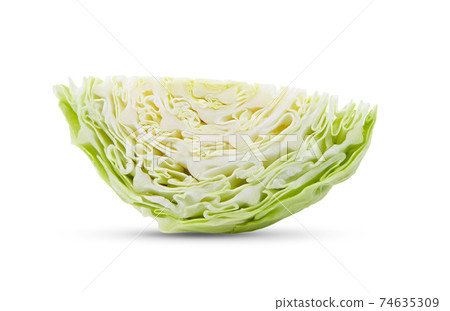 sliced cabbage on white background 74635309