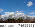 Midwinter blue sky 74635321