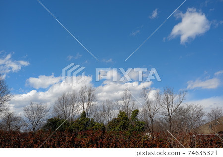 Midwinter blue sky 74635321
