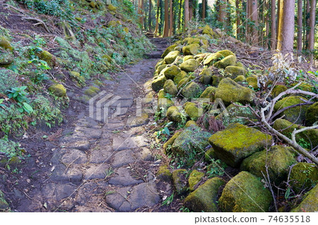 Nokogiriyama mountain trail / car power road course (Kyonan Town, Chiba Prefecture) 74635518