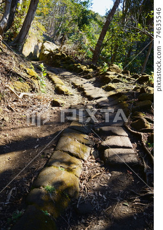 Nokogiriyama mountain trail / car power road course (Kyonan Town, Chiba Prefecture) Nokogiriyama mountain trail / car power road course (Kyonan Town, Chiba Prefecture) 74635546