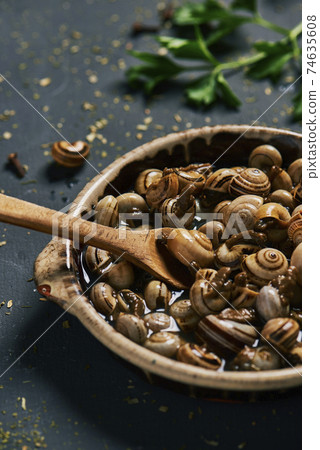 spanish recipe of snails in brow, in a plate spanish recipe of snails in brow, in a plate 74635608