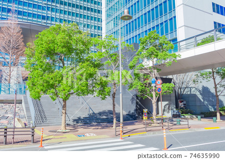 東京大崎市容 東京大崎市容 74635990