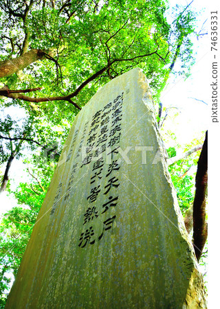 和泉神社 和泉神社 74636331