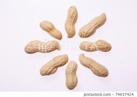 peanuts peanuts 74637424