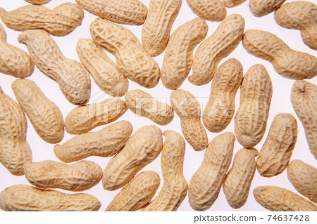 peanuts peanuts 74637428