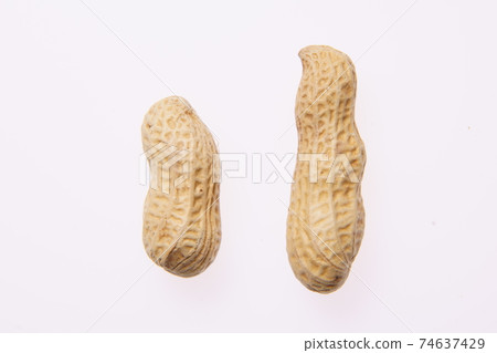 peanuts peanuts 74637429
