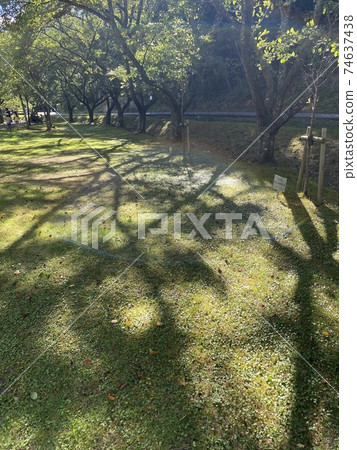 陽光在公園裡顯得像彩虹 陽光在公園裡顯得像彩虹 74637438