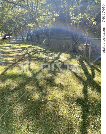 陽光在公園裡顯得像彩虹 陽光在公園裡顯得像彩虹 74637440