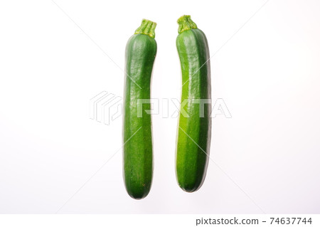 zucchini zucchini 74637744