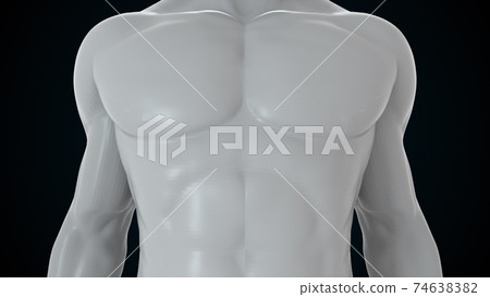 Model of the human body from head to toe, computer generated. 3d rendering transparent male figure. The digital background 74638382