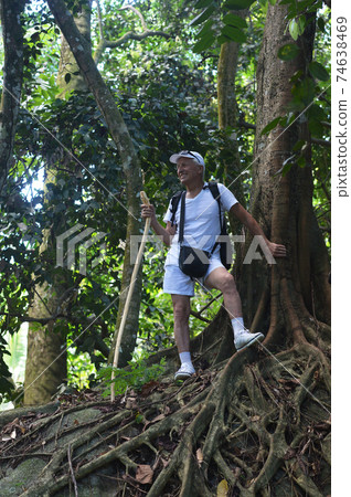 Portrait of elderly man in tropical forest Portrait of elderly man in tropical forest 74638469