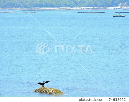 Hiroshima prefecture sea Hiroshima prefecture sea 74638652