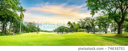 Tree In Golf Course - Stock Photo [74638781] - Pixta