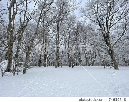 2021 Fukushima Prefecture Alts Bandai Ski Resort and Nekoma Ski Resort Snow Route 2021 Fukushima Prefecture Alts Bandai Ski Resort and Nekoma Ski Resort Snow Route 74639848