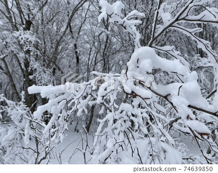 2021 Fukushima Prefecture Alts Bandai Ski Resort and Nekoma Ski Resort Snow Route 2021 Fukushima Prefecture Alts Bandai Ski Resort and Nekoma Ski Resort Snow Route 74639850