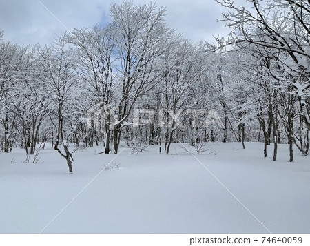 2021 Fukushima Prefecture Alts Bandai Ski Resort and Nekoma Ski Resort Snow Route 2021 Fukushima Prefecture Alts Bandai Ski Resort and Nekoma Ski Resort Snow Route 74640059